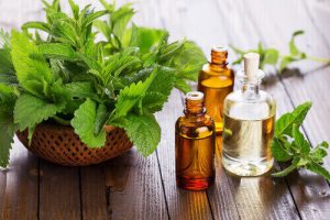peppermint oil for toothache